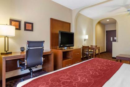 Comfort Suites Houston Galleria - image 10