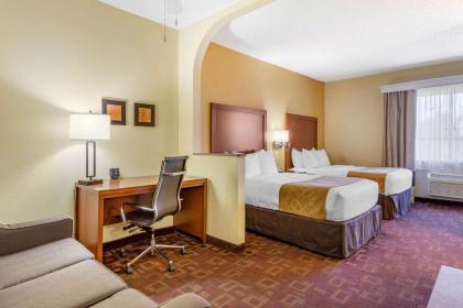 Comfort Suites Houston Galleria - image 11