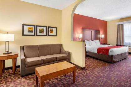 Comfort Suites Houston Galleria - image 12