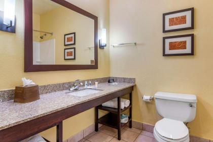 Comfort Suites Houston Galleria - image 13