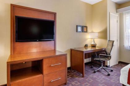 Comfort Suites Houston Galleria - image 14