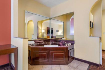 Comfort Suites Houston Galleria - image 16