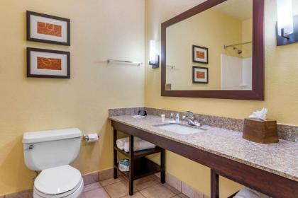 Comfort Suites Houston Galleria - image 20