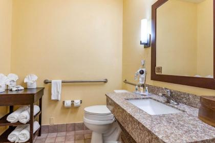 Comfort Suites Houston Galleria - image 9