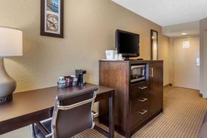 Comfort Inn 290/NW - image 14