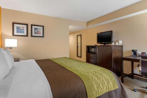 Comfort Inn 290/NW - image 2