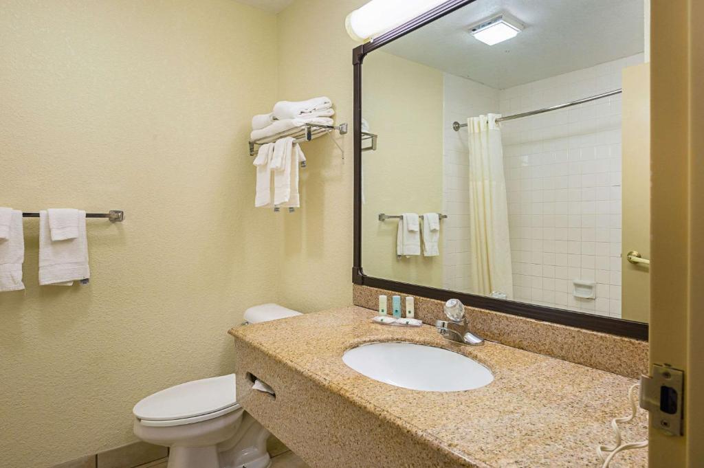 Quality Inn and Suites NRG Park - Medical Center - image 6