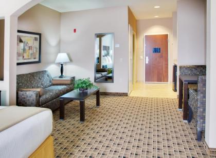 Holiday Inn Express Hotel & Suites Houston Energy Corridor - West Oaks an IHG Hotel - image 2