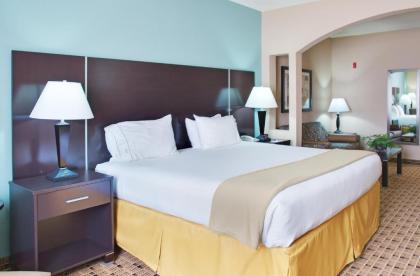 Holiday Inn Express Hotel & Suites Houston Energy Corridor - West Oaks an IHG Hotel - image 3