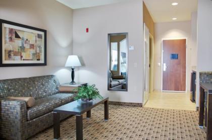 Holiday Inn Express Hotel & Suites Houston Energy Corridor - West Oaks an IHG Hotel - image 6