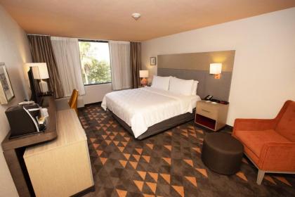 Holiday Inn Houston Hobby Airport an IHG Hotel - image 4