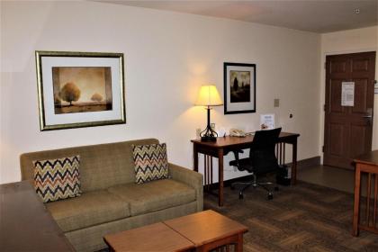 Staybridge Suites Houston - Willowbrook an IHG Hotel - image 8