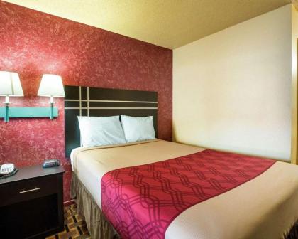 Econo Lodge Houston Brookhollow - image 5