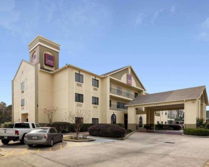 Comfort Suites Bush Intercontinental Airport - image 1