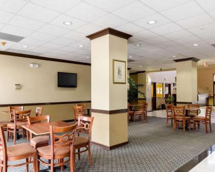 Comfort Suites Bush Intercontinental Airport - image 15