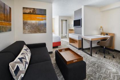 SpringHill Suites Houston Hobby Airport - image 8