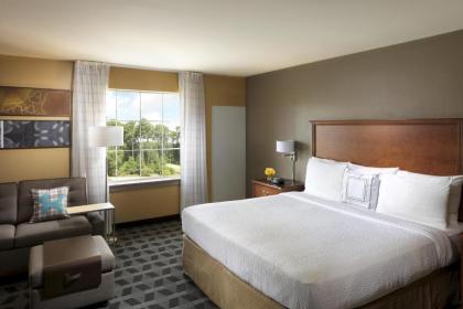 TownePlace Suites Houston Intercontinental Airport - image 12