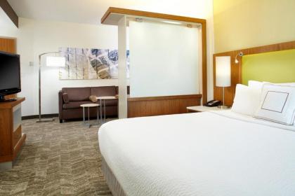 SpringHill Suites Houston Intercontinental Airport - image 14