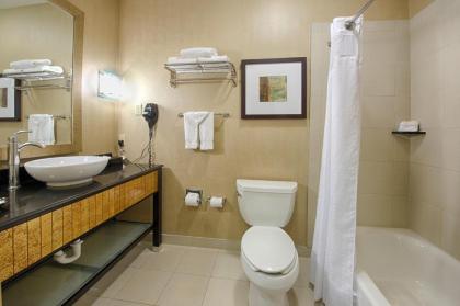 Holiday Inn Hotel Houston Westchase an IHG Hotel - image 13