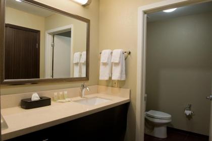 Staybridge Suites Houston NW/Willowbrook an IHG Hotel - image 20