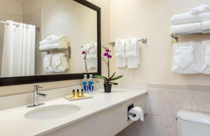 Best Western Plus Downtown Inn & Suites - image 10