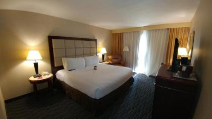 Wyndham Houston near NRG Park - Medical Center - image 6