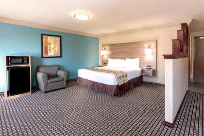 Ramada by Wyndham Houston Intercontinental Airport South - image 16