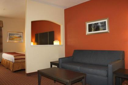 Best Western Plus North Houston Inn & Suites - image 16