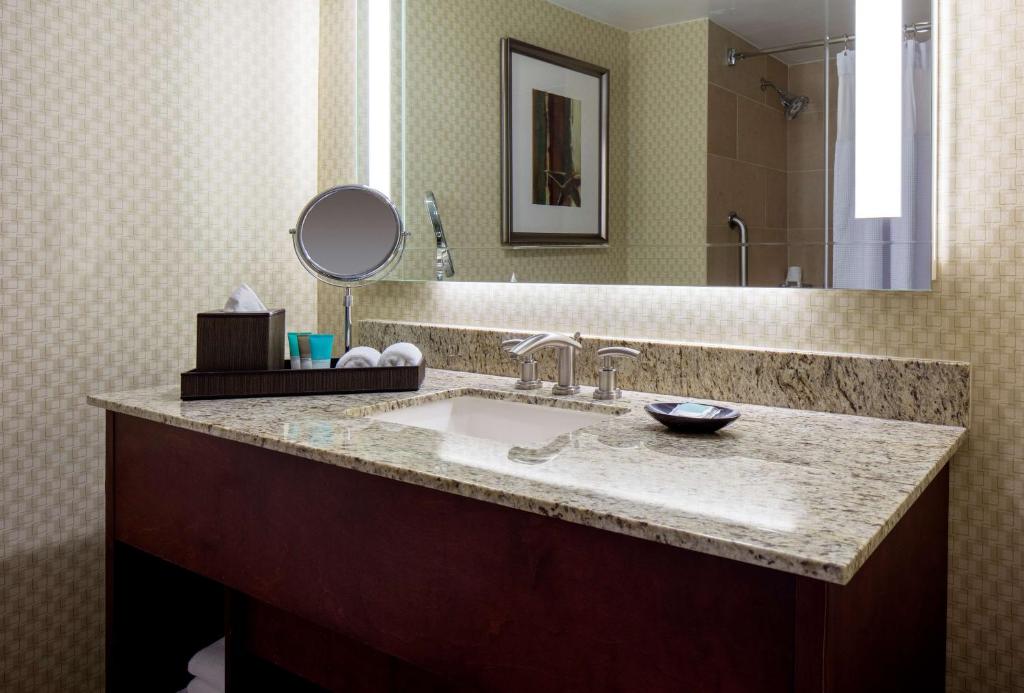 Hyatt Regency Houston Intercontinental Airport - image 3