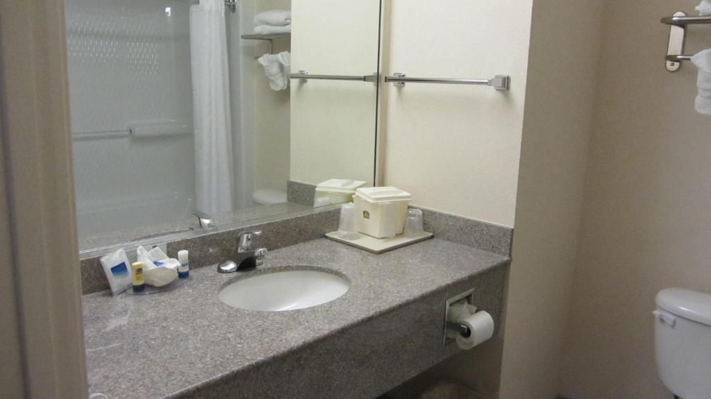 Best Western Galleria Inn & Suites - image 7