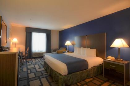 Best Western Galleria Inn & Suites - image 9