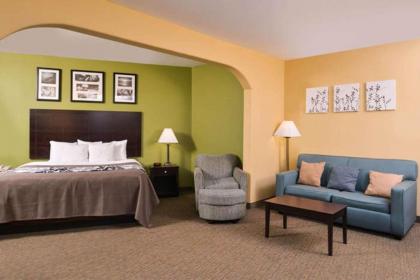 Sleep Inn and Suites Downtown Houston - image 20