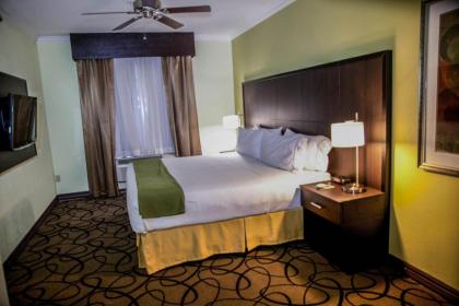 Holiday Inn Express Hotel & Suites Houston North Intercontinental an IHG Hotel - image 11