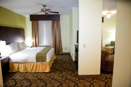 Holiday Inn Express Hotel & Suites Houston North Intercontinental an IHG Hotel - image 14