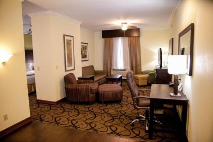 Holiday Inn Express Hotel & Suites Houston North Intercontinental an IHG Hotel - image 16