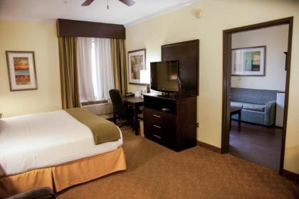 Holiday Inn Express Hotel & Suites Houston North Intercontinental an IHG Hotel - image 9