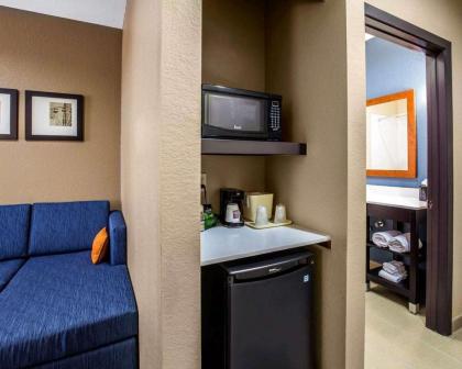 Comfort Suites Houston Northwest Cy-Fair - image 11