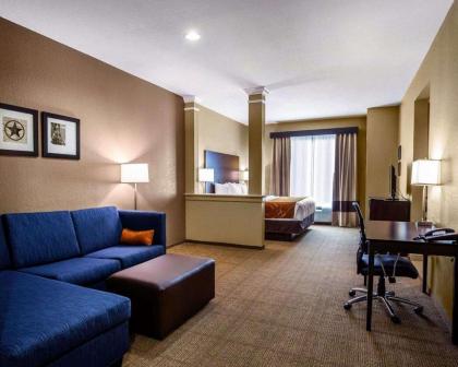 Comfort Suites Houston Northwest Cy-Fair - image 19