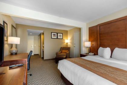 Comfort Inn & Suites SW Houston Sugarland - image 10