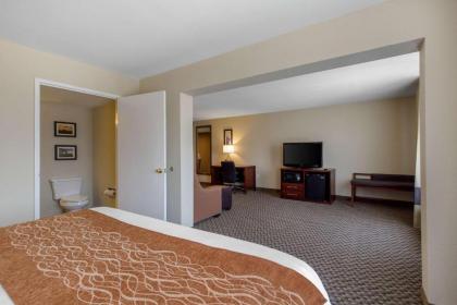 Comfort Inn & Suites SW Houston Sugarland - image 14