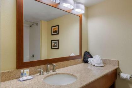 Comfort Inn & Suites SW Houston Sugarland - image 15