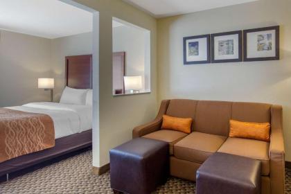 Comfort Inn & Suites SW Houston Sugarland - image 8