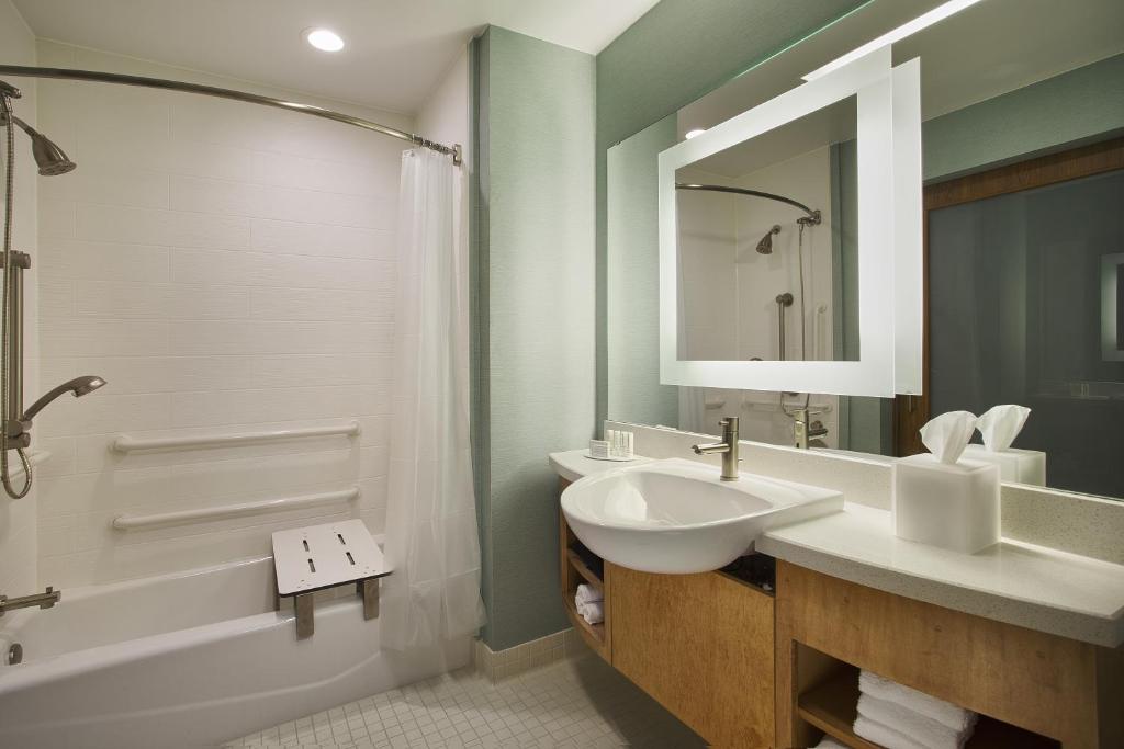 SpringHill Suites by Marriott Houston Downtown/Convention Center - image 3