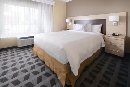 TownePlace Suites by Marriott Houston Galleria Area - image 9