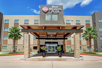 Best Western Plus Westheimer-Westchase Inn & Suites - image 1