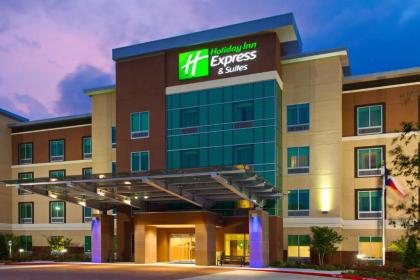 Holiday Inn Express & Suites Houston SW - Medical Ctr Area an IHG Hotel - image 12