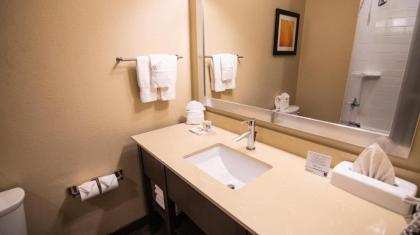 Comfort Suites Northwest Houston At Beltway 8 - image 10