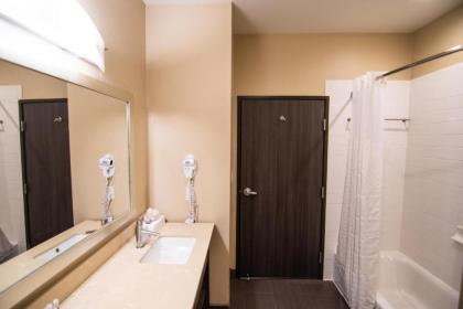 Comfort Suites Northwest Houston At Beltway 8 - image 11