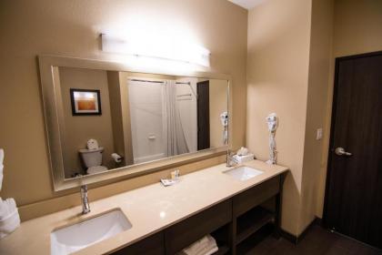 Comfort Suites Northwest Houston At Beltway 8 - image 12