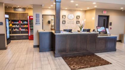 Comfort Suites Northwest Houston At Beltway 8 - image 17